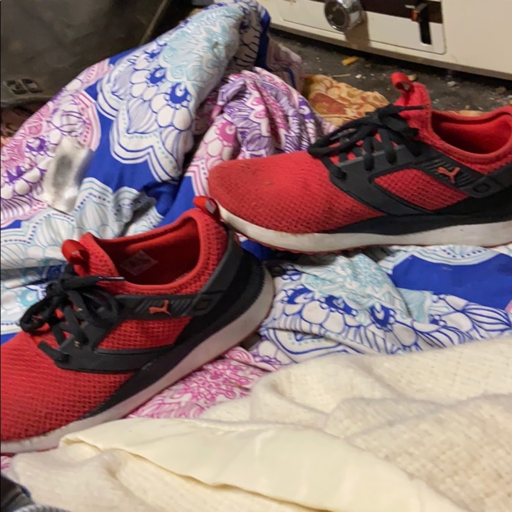 Puma